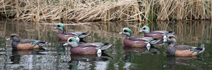 Dakota X-Treme Wigeon Decoys