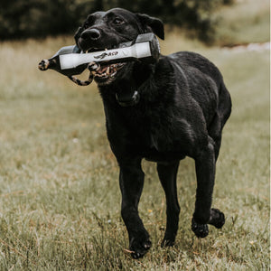 Avery Sporting Dog PerfectHold HexaBumper