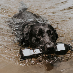 Avery Sporting Dog PerfectHold HexaBumper