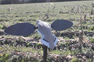 Mojo Outdoors Elite Series Dove Decoy