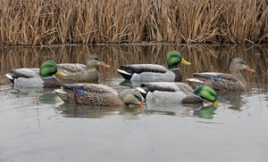 Avian-X Top Flight Fusion Mallard Decoys