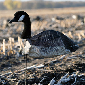 Tanglefree Canada Goose Slammer Sock – 12 Pack w/ Flocked 3D Head