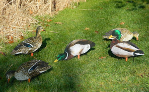 Big Al's Mallard Silhouette Duck Decoys