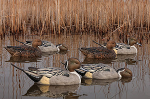 Avian-X Topflight Pintail Decoys