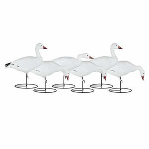 Dakota Decoy Migration Snow Goose Decoys