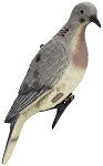 Specialty Decoys