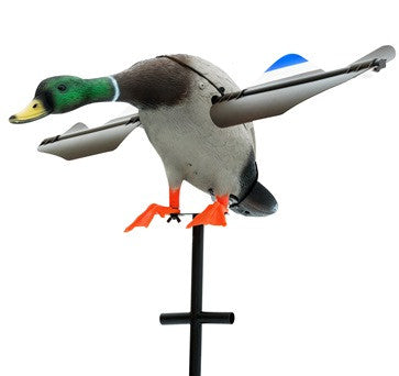 Motion Decoys