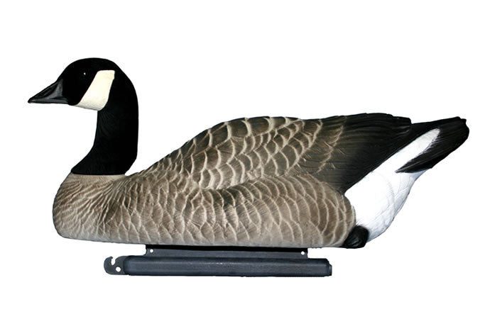 Goose Decoys