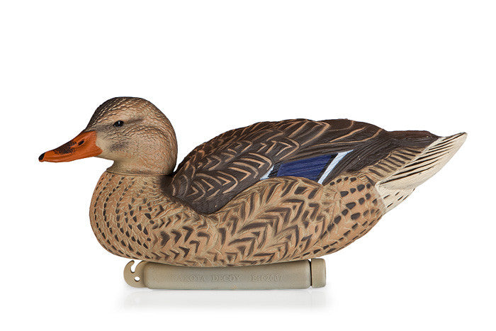 Duck Decoys