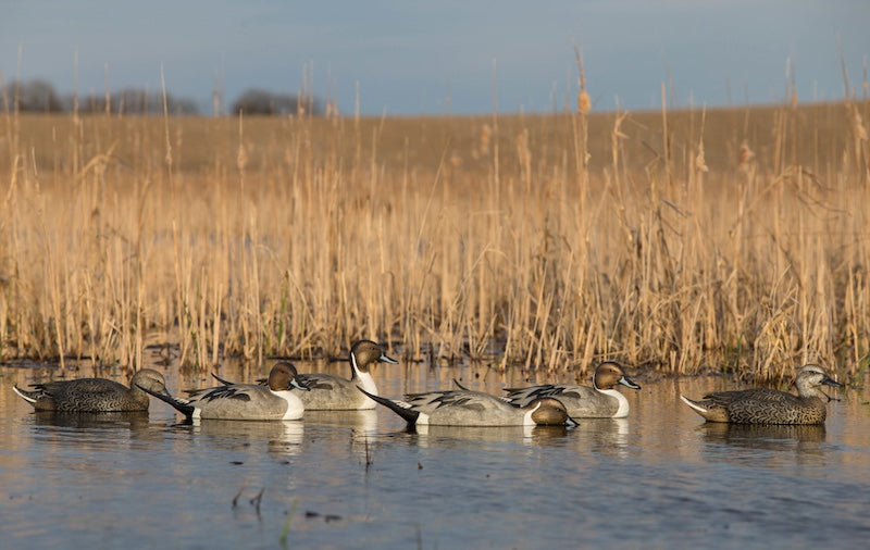 GHG Pro Grade Pintail Decoys