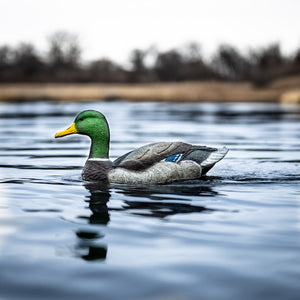 Lucky Duck Super Swimmer HDi