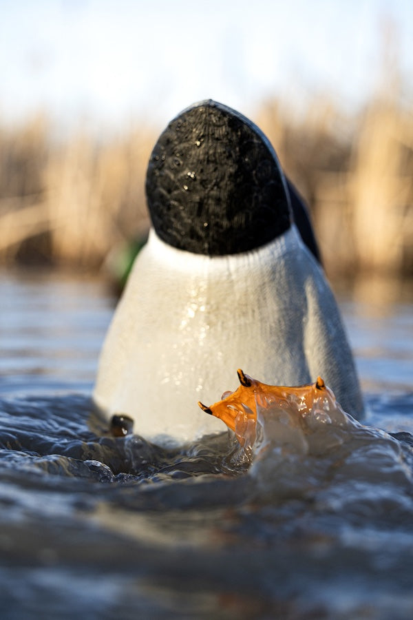 Avian-X Power Butt Kicker Mallard Drake Decoy