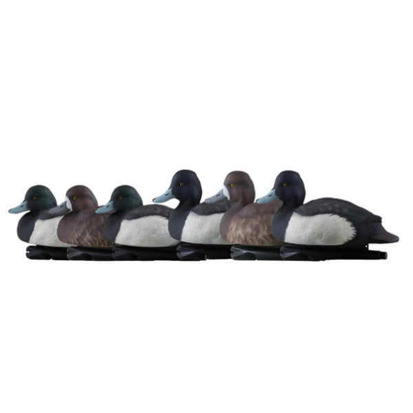 Avian-X Topflight Bluebill Decoys