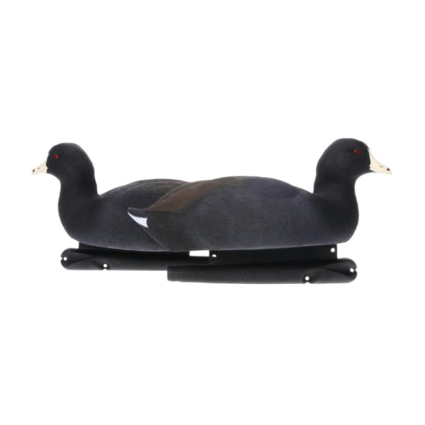 Avian-X Coot Decoys