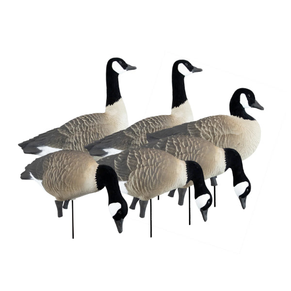 Higdon Apex Canada Goose Decoys Variety Pack