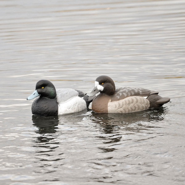 Greenhead Gear Pro Grade Bluebill Decoys Foam Filled