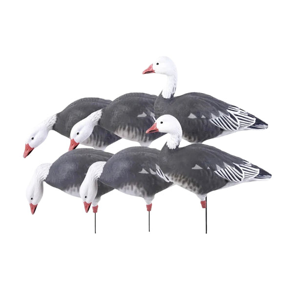 Greenhead Gear Pro Grade Full Body Blue Goose Decoys