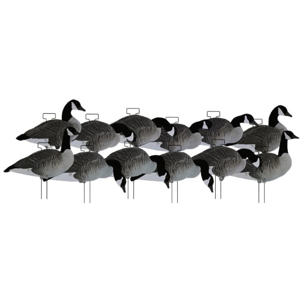 Dakota Decoy Xtreme Silhouette Canada Goose Decoys