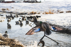 Lucky Duck Super Flapper HDi Mallard 2.0