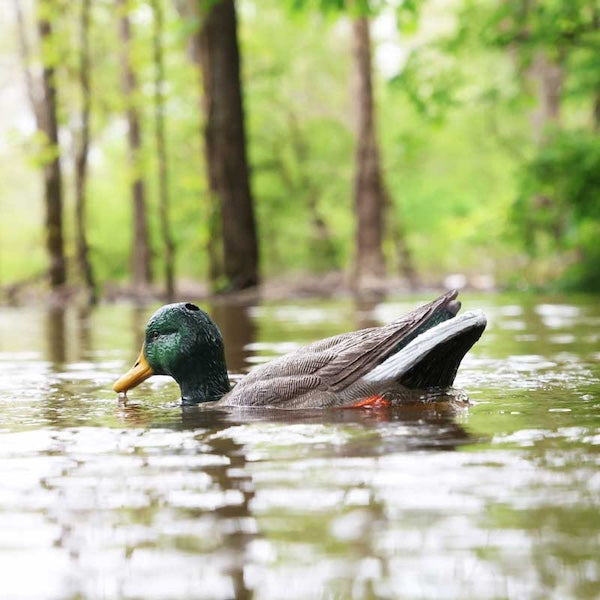 Mojo Dabbler Duck Decoy