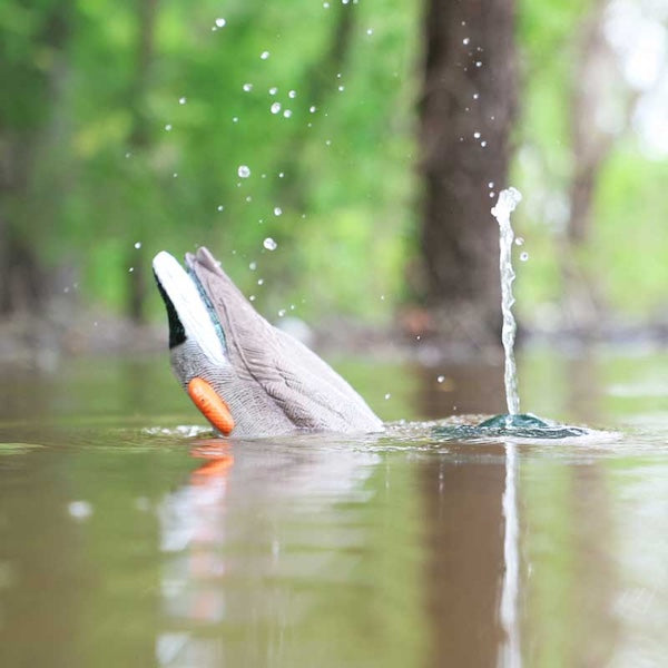 Mojo Dabbler Duck Decoy