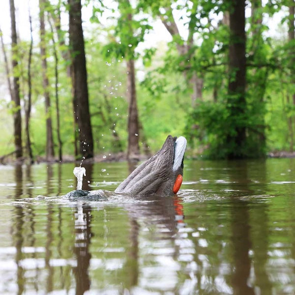Mojo Dabbler Duck Decoy