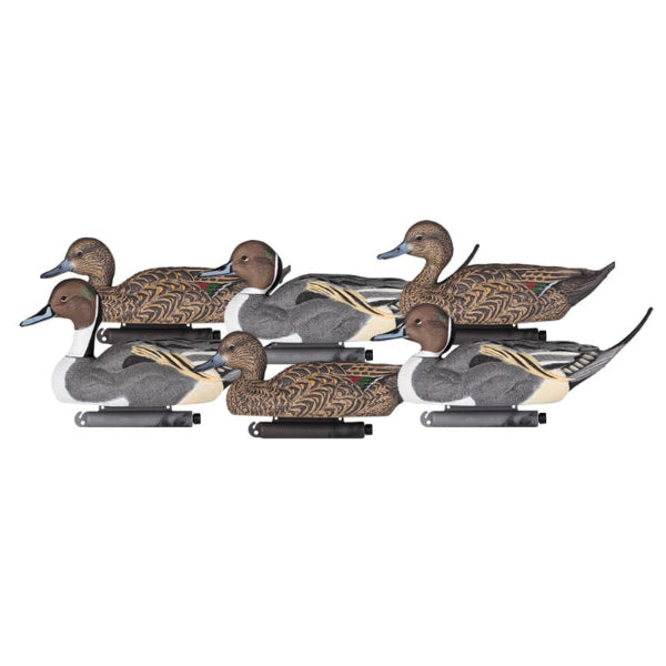 Dakota Xtreme Pintail Decoys