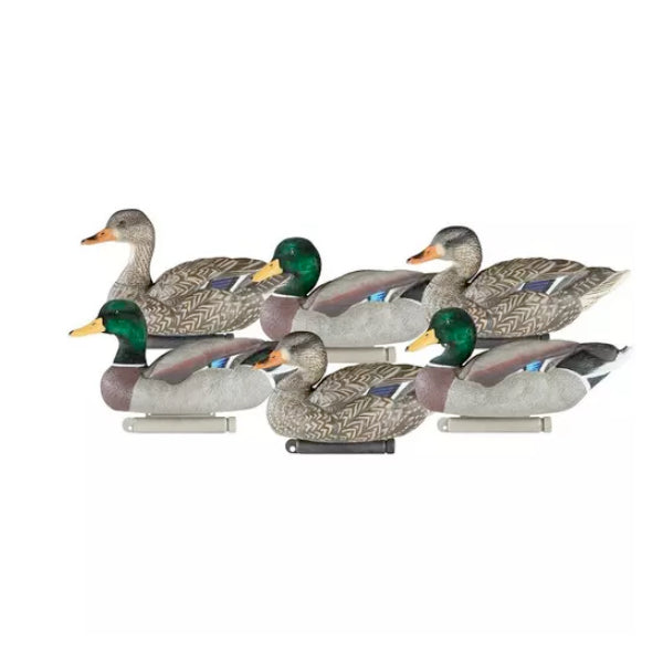 Dakota Xtreme Mallard Decoys 6 Pack