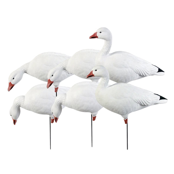 Greenhead Gear Pro Grade Full Body Snow Goose Decoys Harvester 6 Pack
