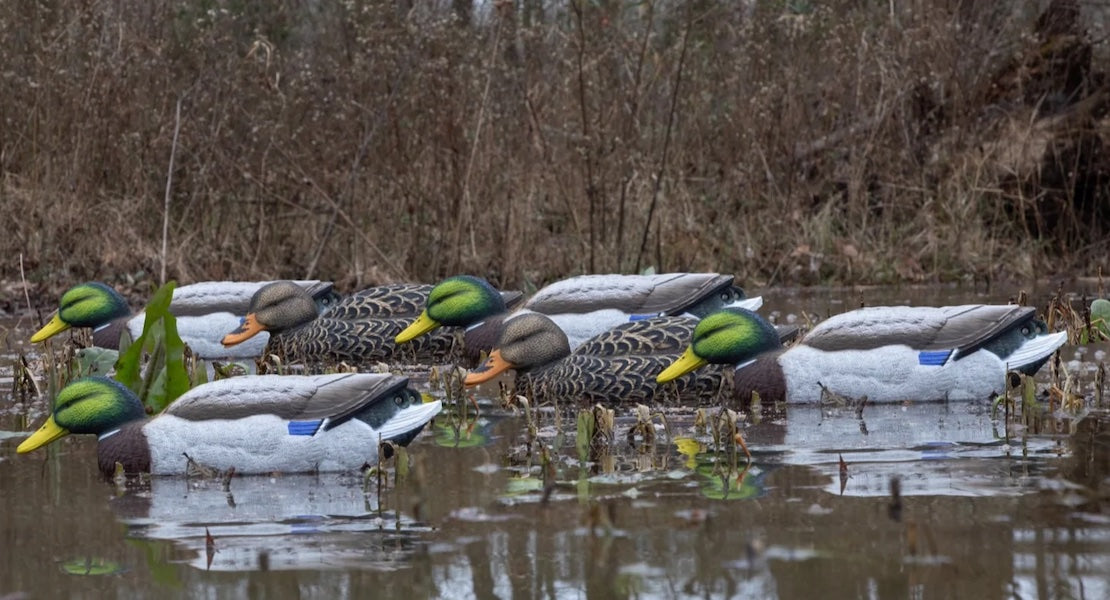 Higdon Legacy Mag Mallard Feeder Decoys Foam Filled
