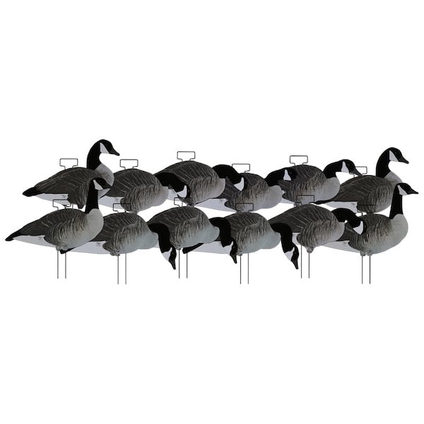 Dakota Decoy Xtreme Silhouette Canada Goose Decoys Fully Flocked