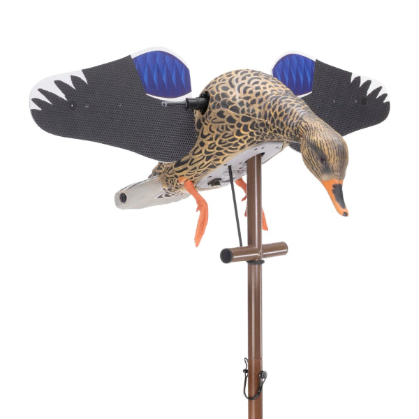 Higdon Flasher Pro Mallard Hen