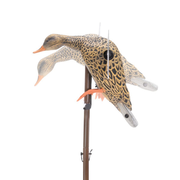 Higdon Flasher Pro Mallard Hen