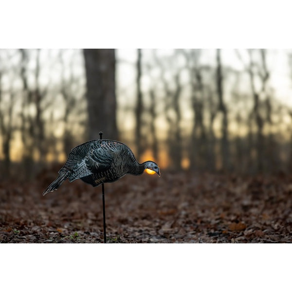 Higdon Flex Feeding Hen Turkey Decoy - Canadian Waterfowl Supplies