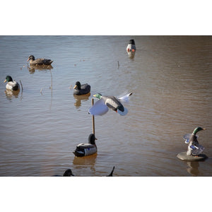 Higdon Flasher Flyer Breeze Decoy