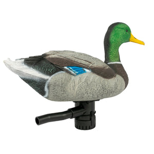 Lucky Duck Super Swimmer HDi