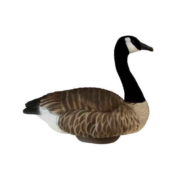 Heyday Lifetime Hydrofoam Canada Goose Flocked Head Decoys