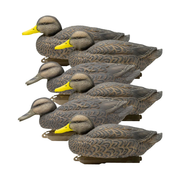 Higdon Legacy Mag Black Duck Decoys Foam Filled