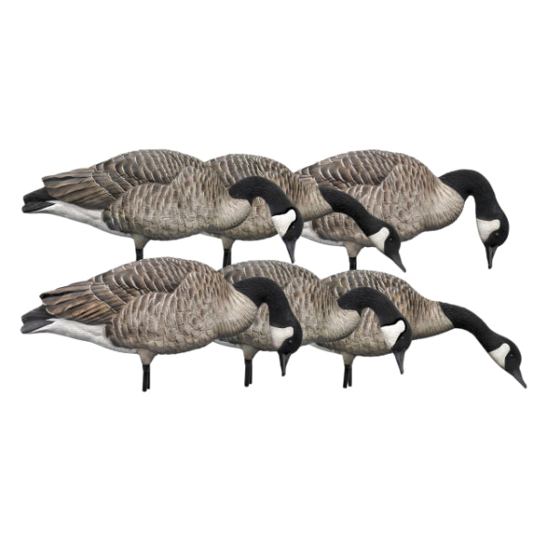 Avian-X AXP Honker Goose Decoys