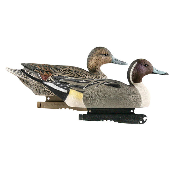 Greenhead Gear Life Size Pintail Decoys Canadian Waterfowl Supplies