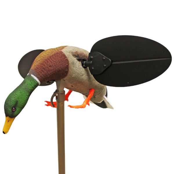 Mojo Mallard Drake Decoy