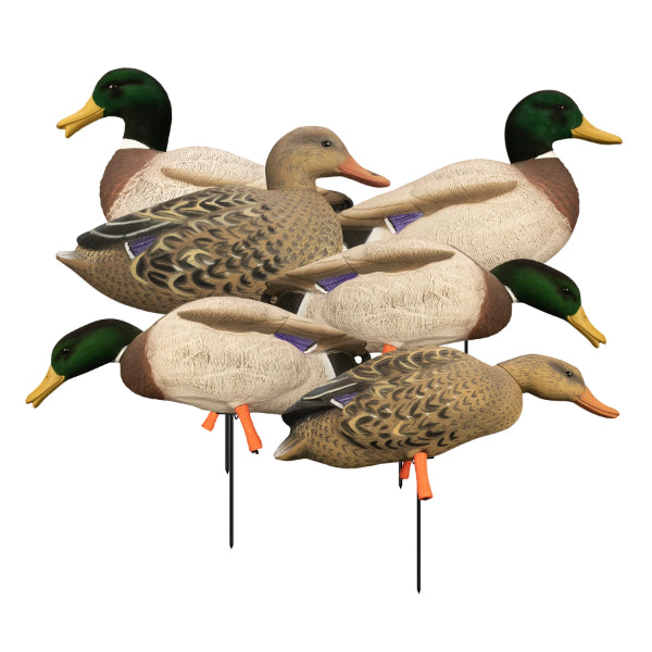 Higdon Magnum Full Body Mallard Decoys Variety Pack With Bag