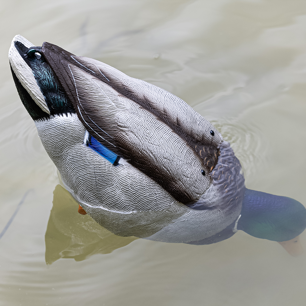 Avian-X Tip Up Mallard Feeder