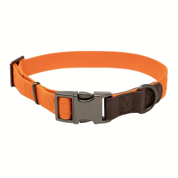 Momarsh Adjustable Dog Collar