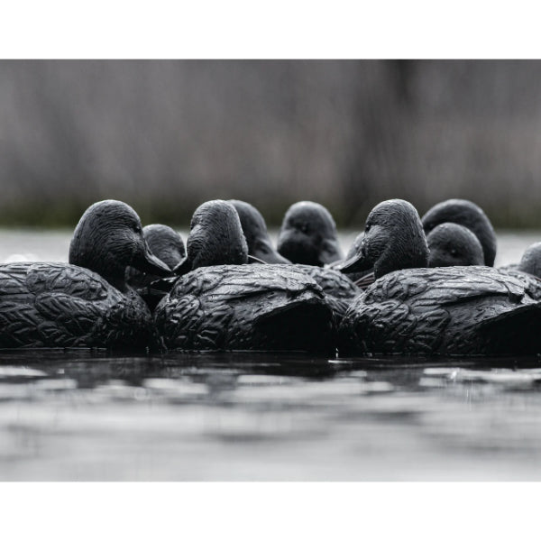 RigEm Right Mainline Blackout Duck Decoys