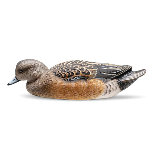 Rig Em Right Mainline Wigeon Decoys