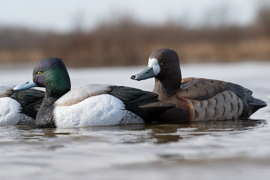 Rig Em Right Mainline Bluebill Decoys Foam Filled