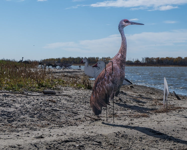 Real-Geese Gen 3 Sandhill Crane Decoys