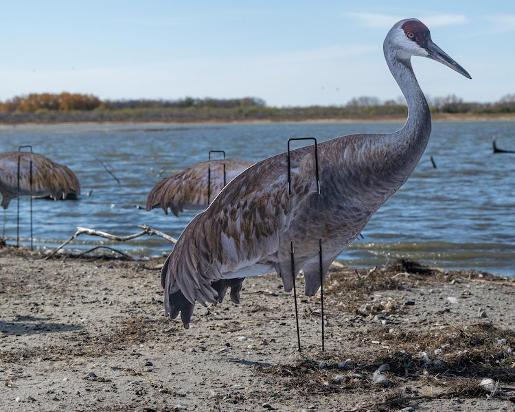 Real-Geese Gen 3 Sandhill Crane Decoys