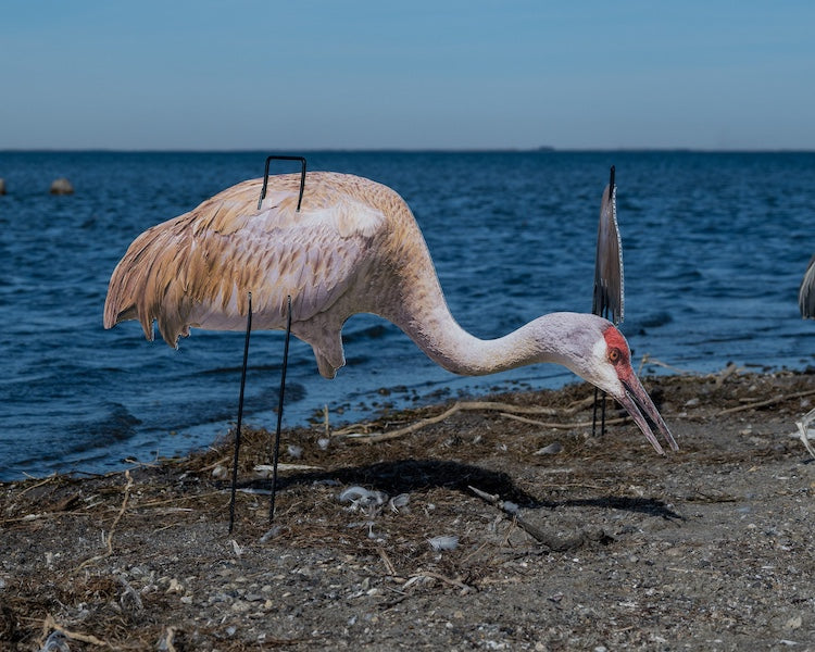 Real-Geese Gen 3 Sandhill Crane Decoys